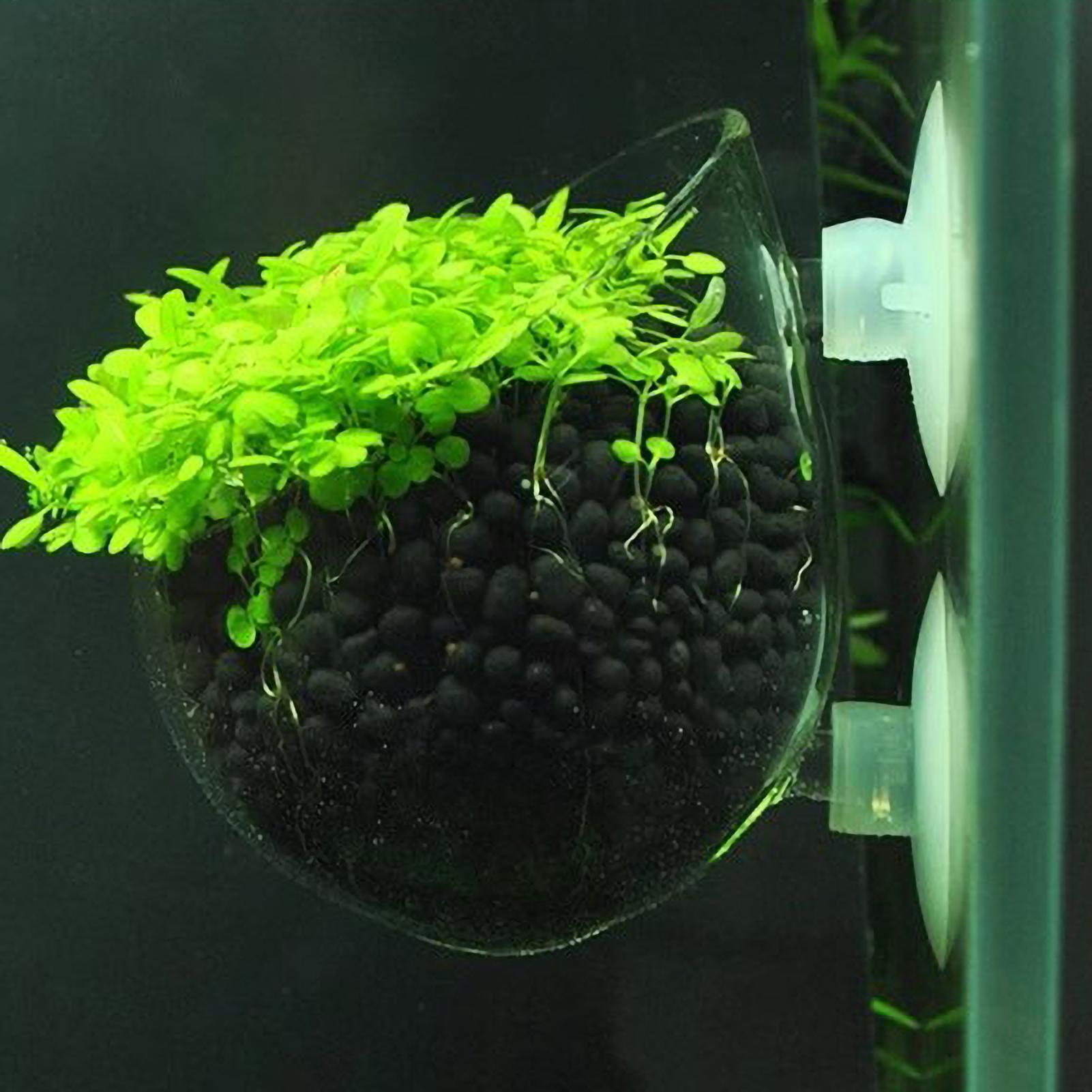 Aquarium Plant Gel - 수족관 식물 홀더 유리 수생 식물