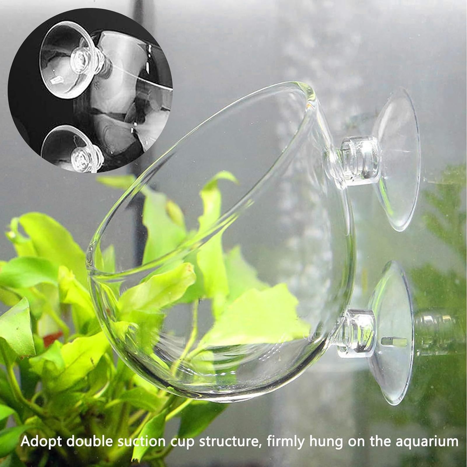 Aquarium Plant Gel - 수족관 유리 화분 흡착판 포함 생물