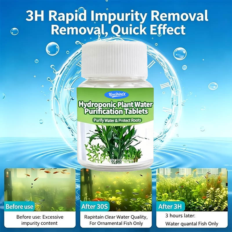 수경재배용 정수정-즉시 사용 가능한 수질 개선제, 어항 - Planted Aquarium Equipment 리뷰 및 가격