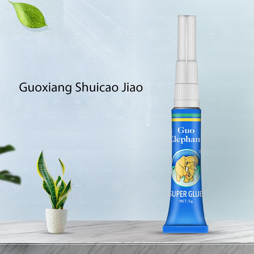 어항 조경용 이끼 접착제 수족관 수생 잔디 스틱 고정  - Aquarium Plant Gel 리뷰 및 가격