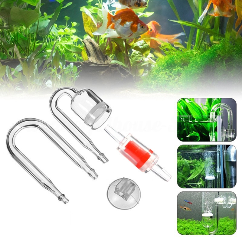 수족관 유리 탱크용 DIY CO2 디퓨저, 버블 반응기 - Aquarium Plant Echinodorus 리뷰 및 가격