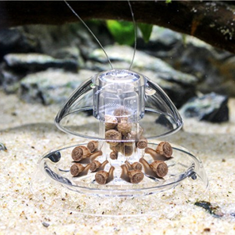 물고기 탱크 수족관 클리너, 달팽이 트랩 캐처, 식물  - Aquarium Plant Utensils 리뷰 및 가격