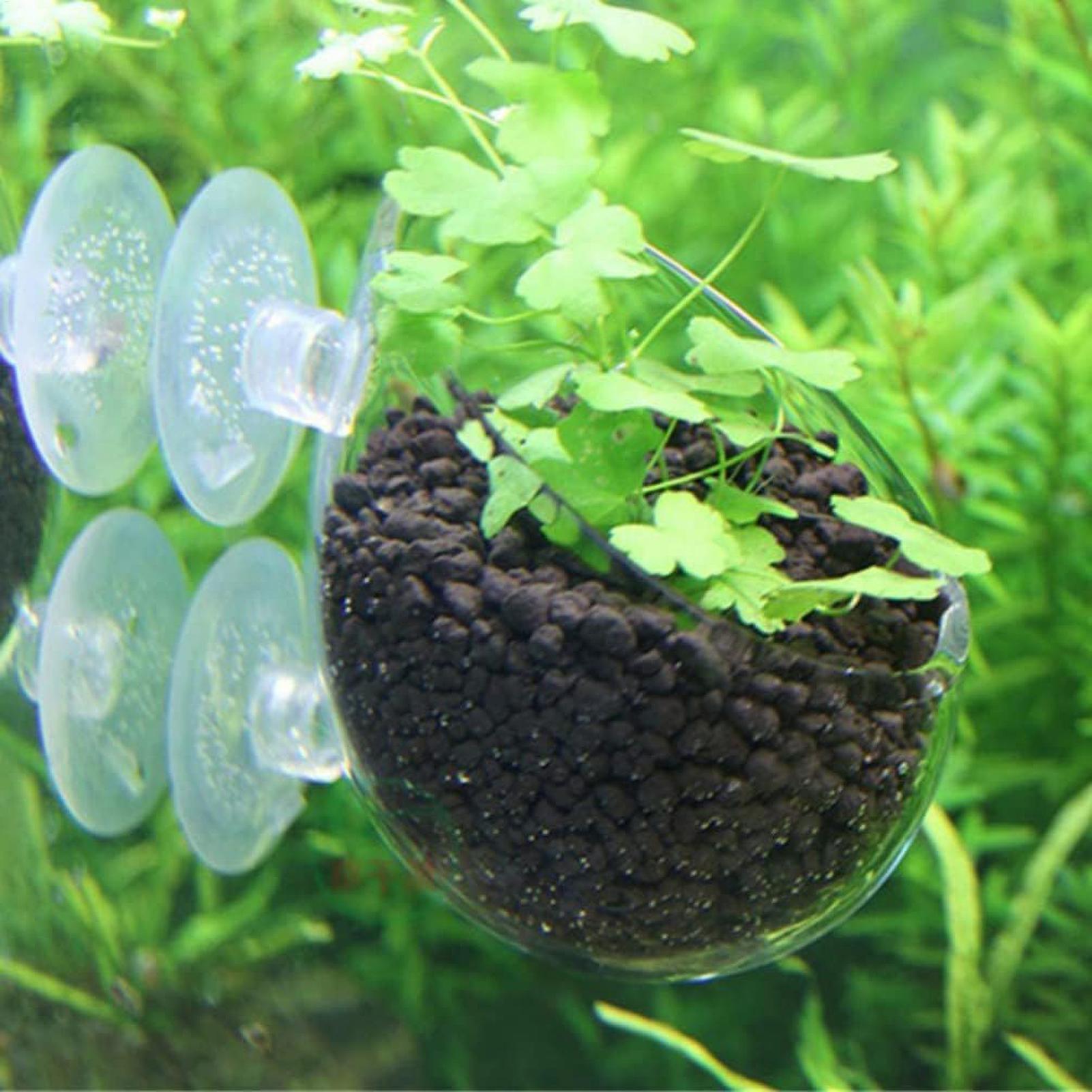 수족관 식물 홀더 유리 수생 식물 화분 흡착판 포함 생 - Aquarium Plant Gel 리뷰 및 가격