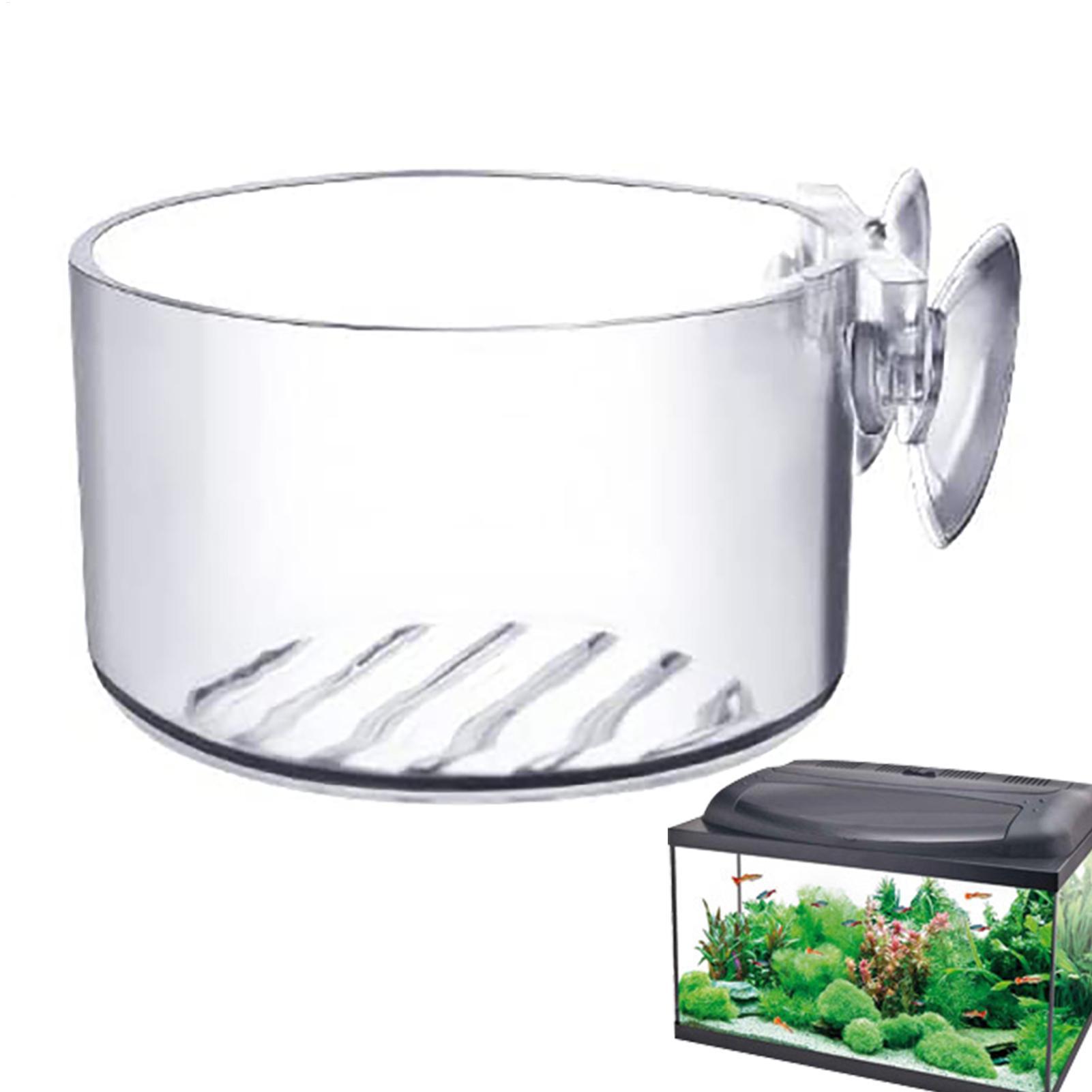 아크릴 수족관 장식용 식물 컵 화분, 강력한 흡착 홀더 - Aquarium Plant Utensils 리뷰 및 가격
