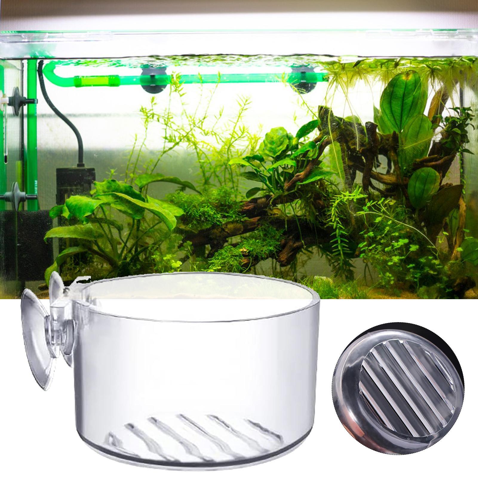 아크릴 수족관 장식용 식물 컵 화분, 강력한 흡착 홀더 - Aquarium Plant Utensils 리뷰 및 가격