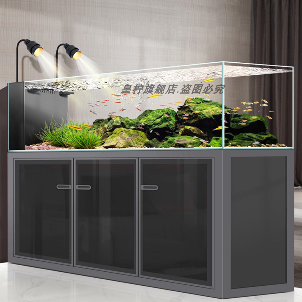 Yjq 산업용 윈드 스트림 탱크 거실용 가정용 초백색  - Aquarium Plant Echinodorus 리뷰 및 가격