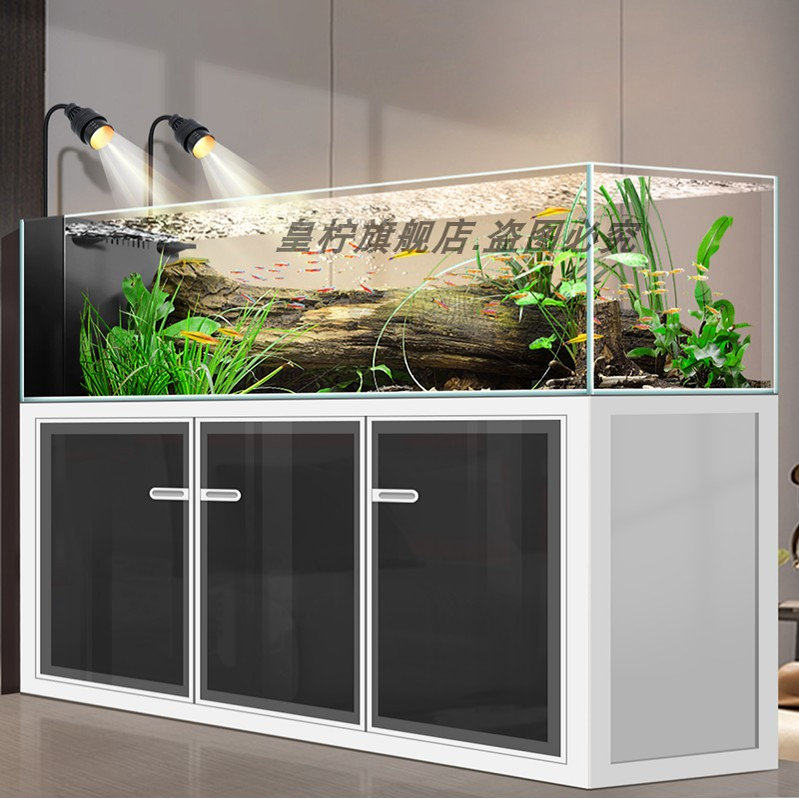 Yjq 산업용 윈드 스트림 탱크 거실용 가정용 초백색  - Aquarium Plant Echinodorus 리뷰 및 가격