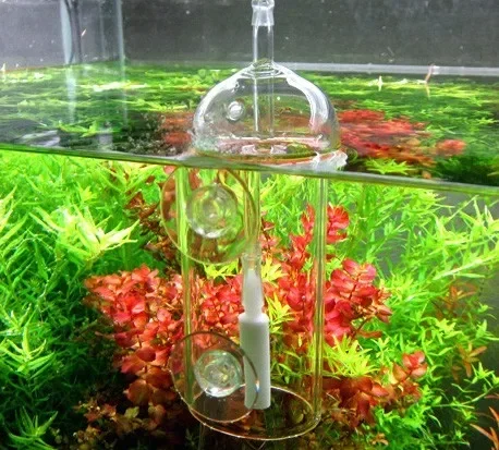 VIV Do Device 수족관 실린더 크리스탈 유리, - Planted Aquarium Equipment 리뷰 및 가격