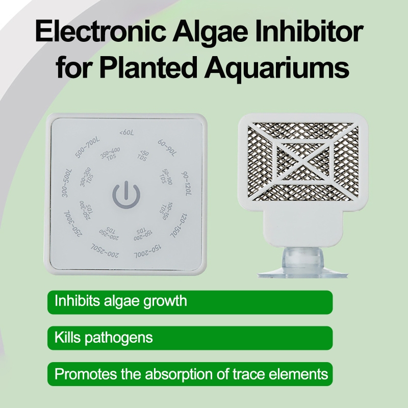 전자식 수족관 어항 청소 도구 전자식 조류 억제제 제거 - Aquarium Plant Utensils 리뷰 및 가격