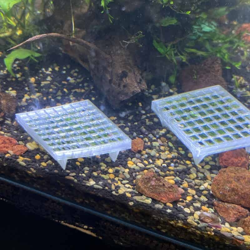 수족관 모스 케이지 홀더 어항 생물 모스 재배 바구니  - Aquarium Plant Echinodorus 리뷰 및 가격