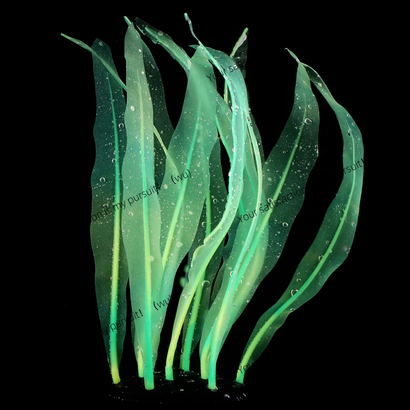 모조 다시마 식물 장식 어항 수중 세계 실리콘 다시마  - Aquarium Plant Gel 리뷰 및 가격