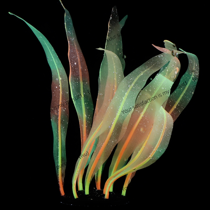 모조 다시마 식물 장식 어항 수중 세계 실리콘 다시마  - Aquarium Plant Gel 리뷰 및 가격