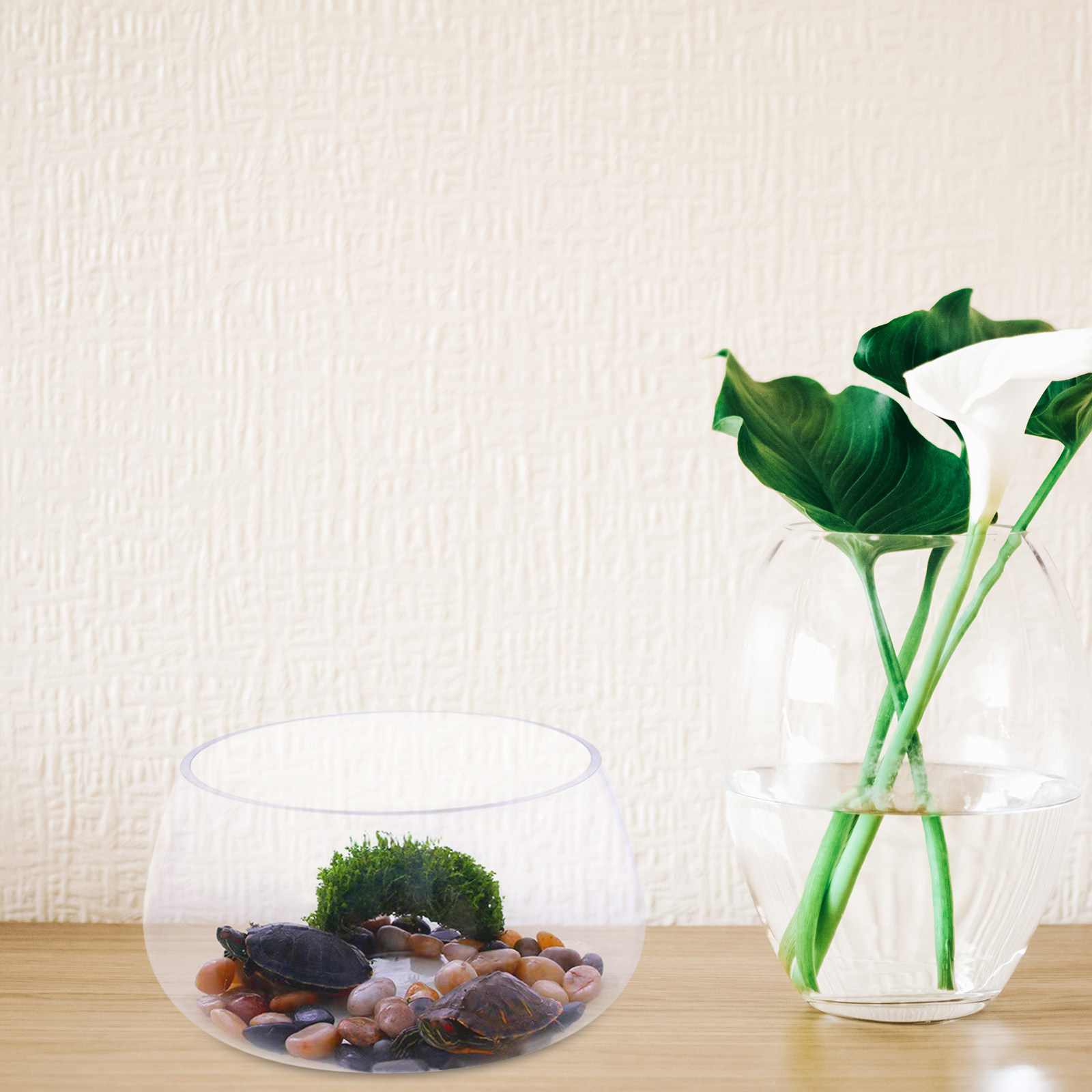 둥근 투명 유리 미니 어항 물고기 식물 탁상 장식 가정 - Aquarium Planted Shop 리뷰 및 가격
