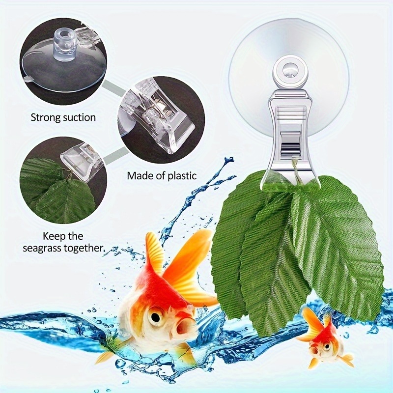 8pcs 물고기 해초 클립 식물 흡입 컵 클립 피드 홀 - Planted Aquarium Equipment 리뷰 및 가격