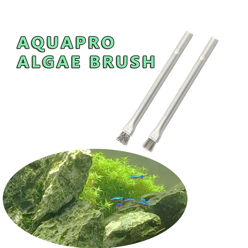 Aquapro 조류 브러시 청소 브러시 ​​물고기 탱크 - Aquarium Plant Utensils 리뷰 및 가격