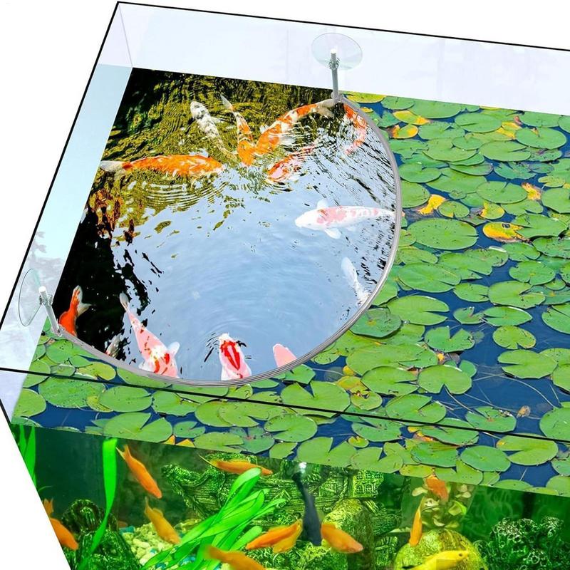 부동 식물 마구간 물고기 먹이 링 분리 및 보호 부동  - Planted Aquarium Equipment 리뷰 및 가격