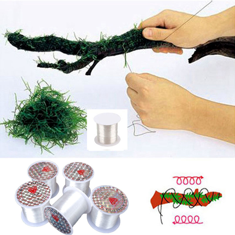 120M DIY 이끼 라인 바인딩 라인 슈퍼 강한 투명 - Aquarium Plant Echinodorus 리뷰 및 가격