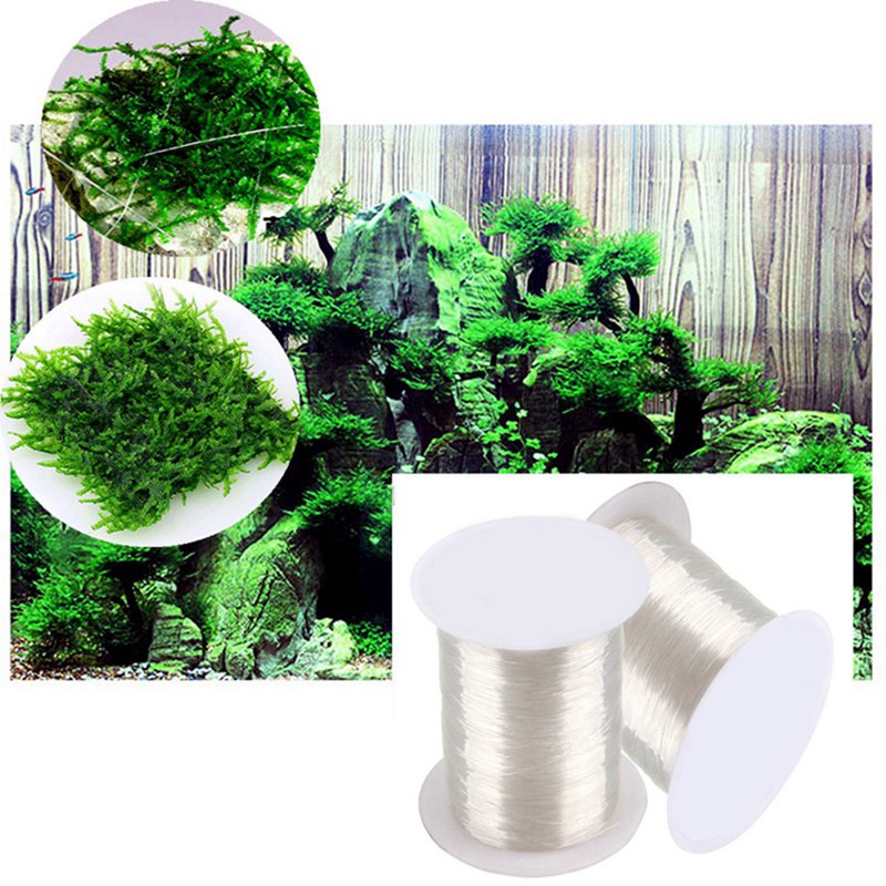 120M DIY 이끼 라인 바인딩 라인 슈퍼 강한 투명 - Aquarium Plant Echinodorus 리뷰 및 가격