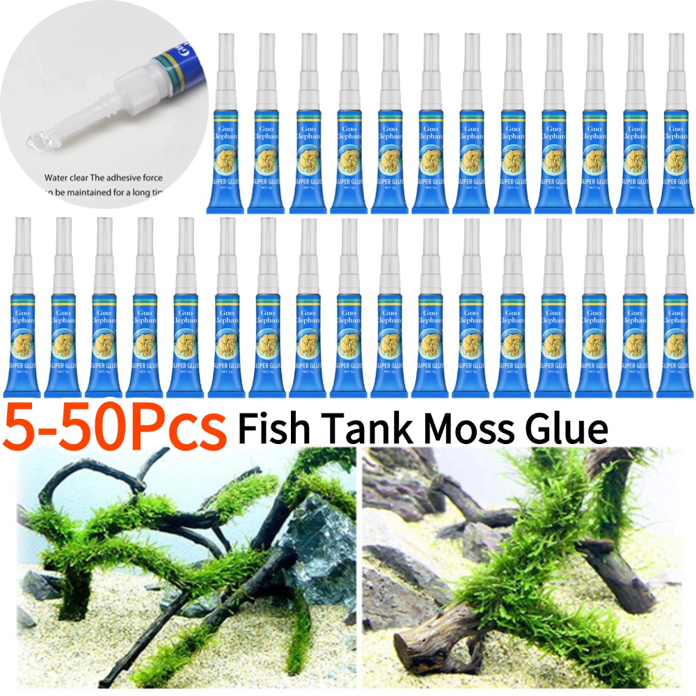 50-5Pcs 물고기 탱크 조경 이끼 접착제 수족관 수 - Aquarium Plant Gel 리뷰 및 가격