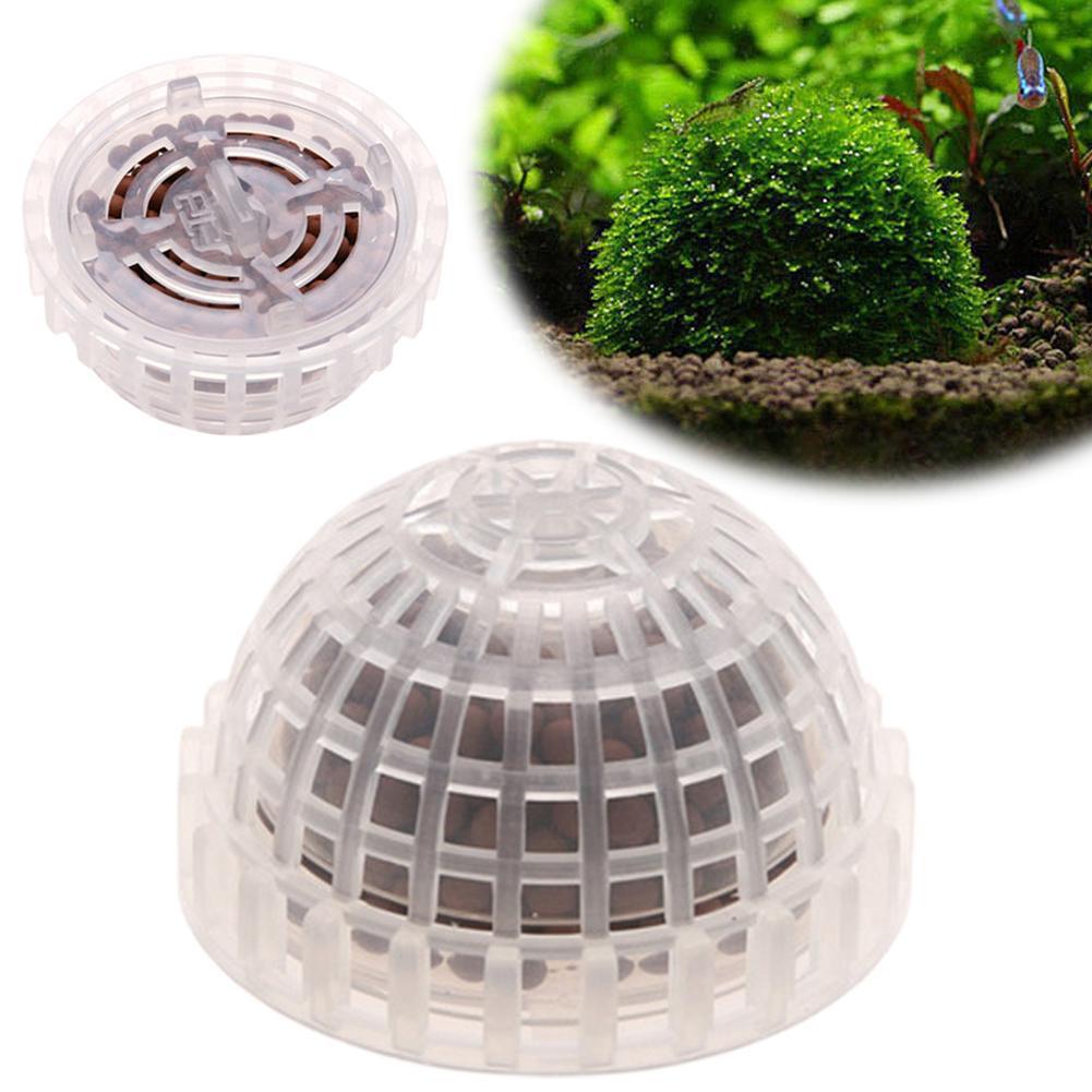 1개 수족관 애완동물 용품 장식품 수초 모스볼 생물 필 - Aquarium Plant Echinodorus 리뷰 및 가격