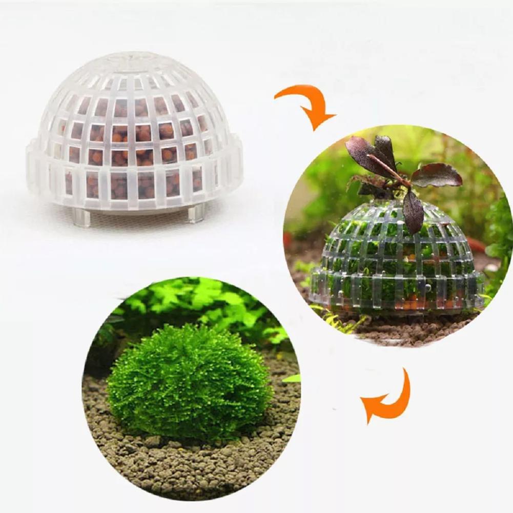 1개 수족관 애완동물 용품 장식품 수초 모스볼 생물 필 - Aquarium Plant Echinodorus 리뷰 및 가격