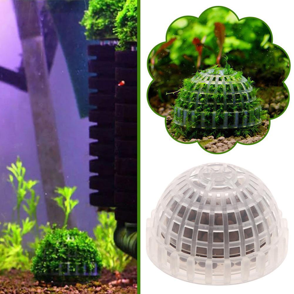 1개 수족관 애완동물 용품 장식품 수초 모스볼 생물 필 - Aquarium Plant Echinodorus 리뷰 및 가격